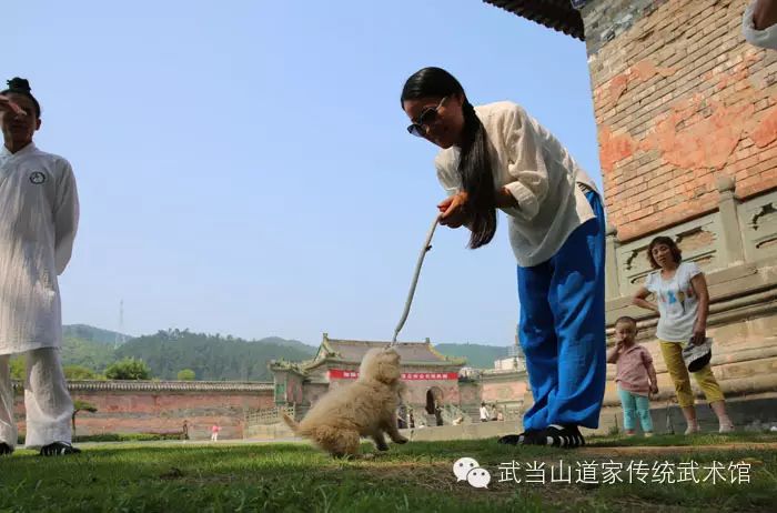 [多图]萌物当道,小狗MIMI的故事!