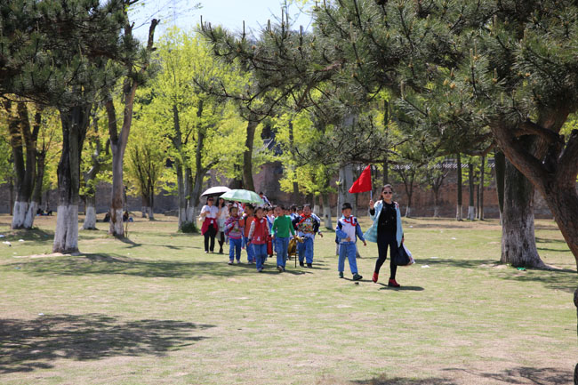 1000多名小学生来我馆体验武当太极拳