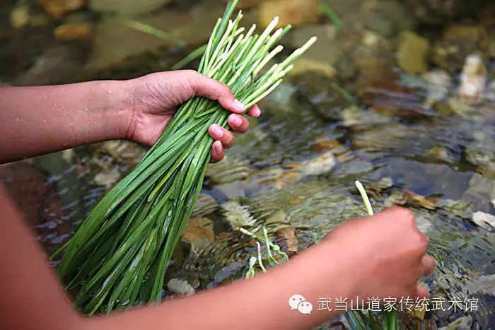 秋色怡人,一起烧烤去!