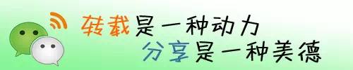 日点击量逼近30万大关——【警犬】社区