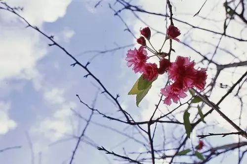 摄影师必知的色彩基础知识_6_1