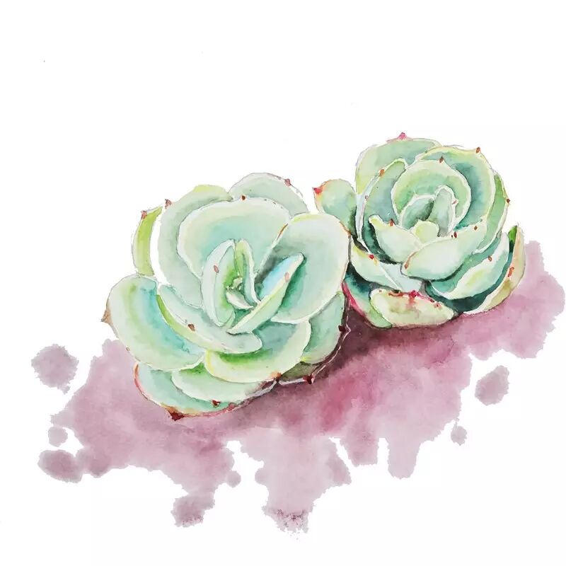 画花的公子，赏花的夫人