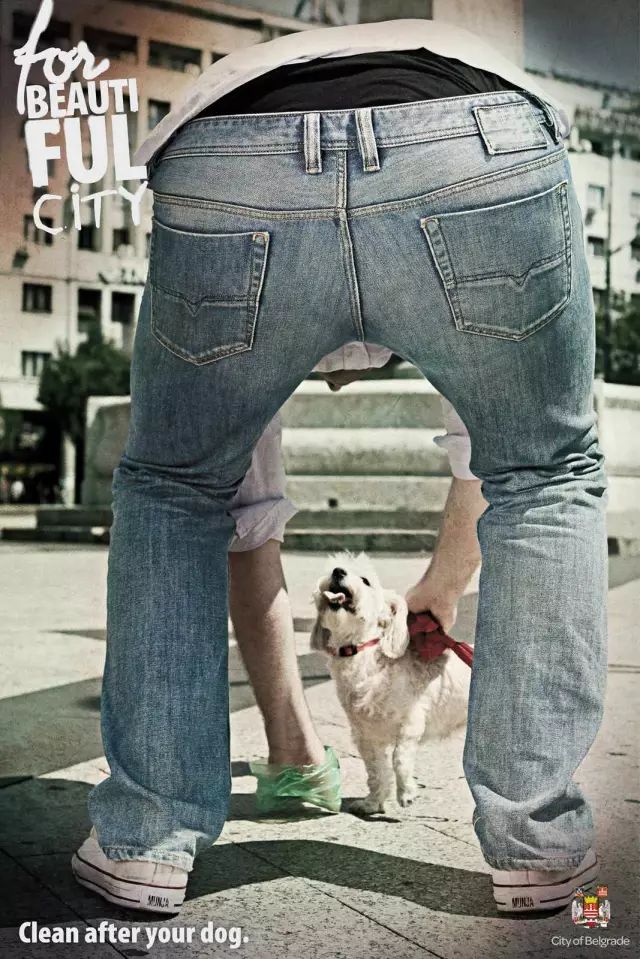 用狗狗做廣告，既可溫情也可搞笑
