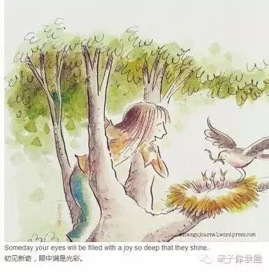 【家庭教育】世上只有一种爱以分离为目的：那就是父母对孩子的爱！