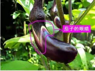 登录查看大图