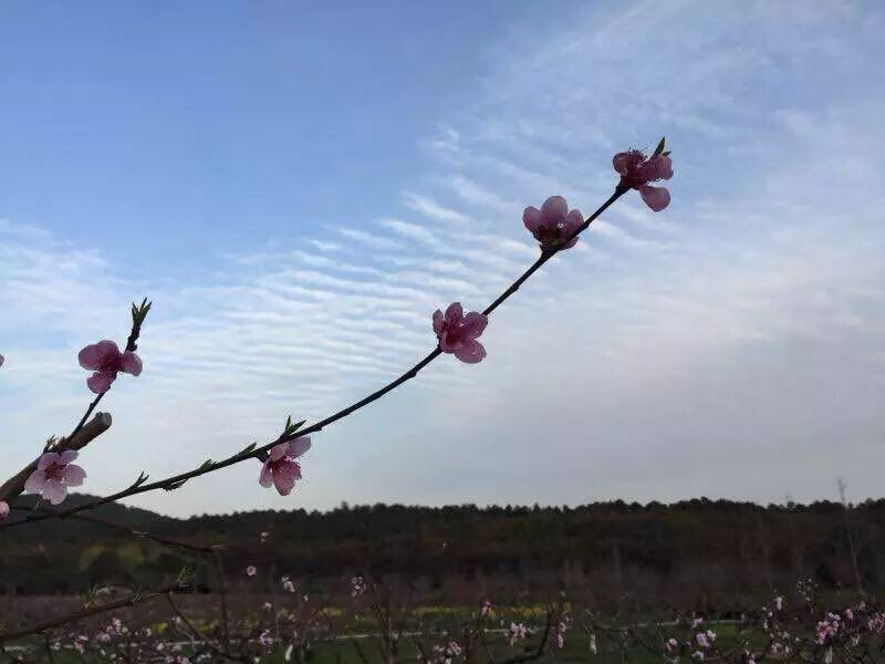 柔润的甘泉滋润着我这颗疲惫不堪的心 内养堂精品酒店一位客人分享 苏州内养堂养生文化会馆