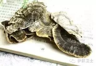 国内外公认的7种抗乙肝食物