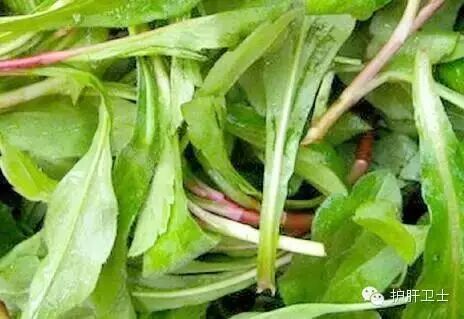 国内外公认的7种抗乙肝食物