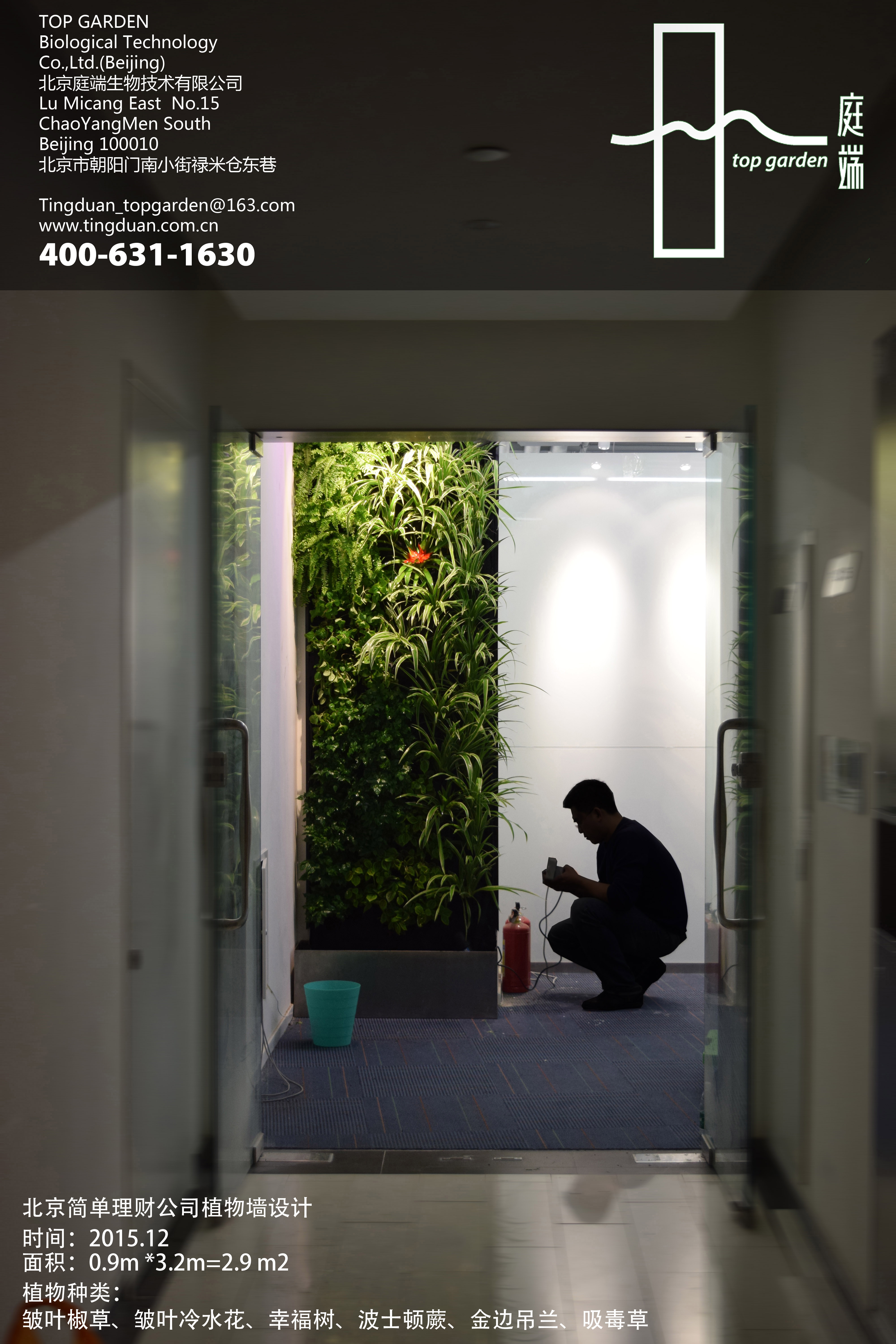 北京庭端 Top Garden 公司在城市雾霾的笼罩下 开始了室内绿墙工程的实践 文章