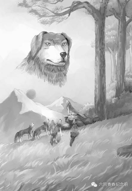 杰克·伦敦：野性的呼唤——听从自性的召唤！