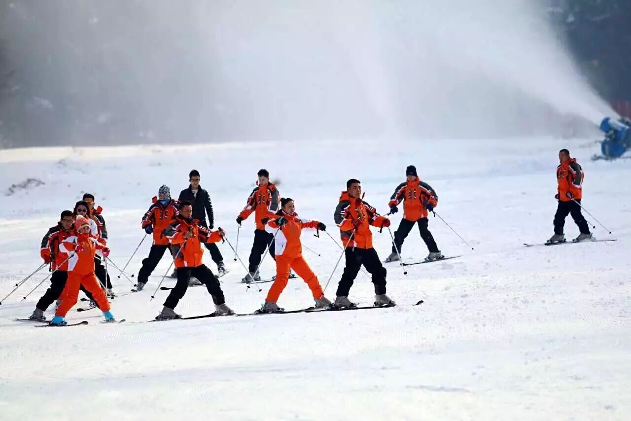 中国队第8金！谷爱凌自由式滑雪U型场地技巧夺冠