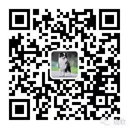 主人坚持“怀孕也可以养狗”,并拍下纪录片,最后狗狗和宝宝相见的画面好暖!