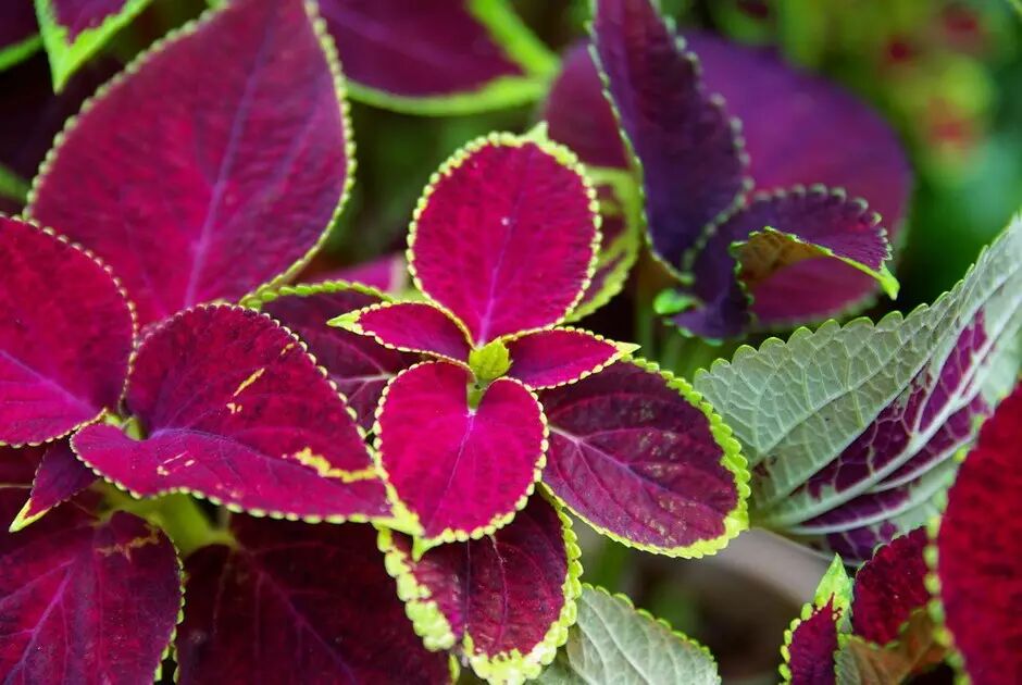 新葡萄棋牌官方网站 首页