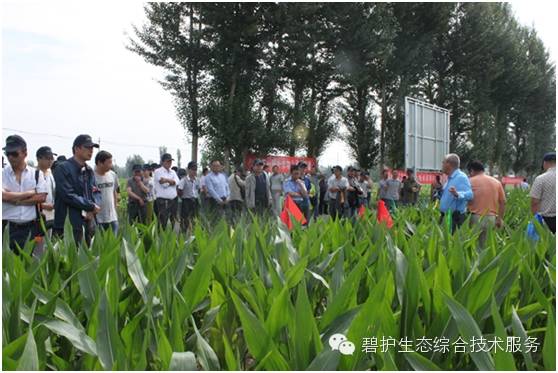 ��ʱѶ������ת���������ӽ��������ֻ��ز��溦��ɫ���ؼ���ʾ���ƹ��Ħ���ڸ�����Ҵ���ٿ�