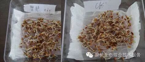 ��ʱѶ����������ũ�ѱ̻�ˮ������ǰհ