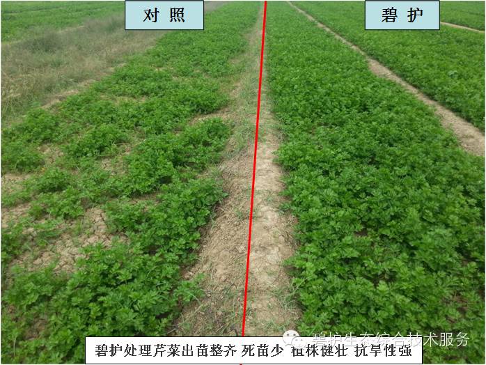 ������ũʱͨ��Ҫ���۲��ֵĺ�__�̻��ۺϼ����ٲ��ˣ�