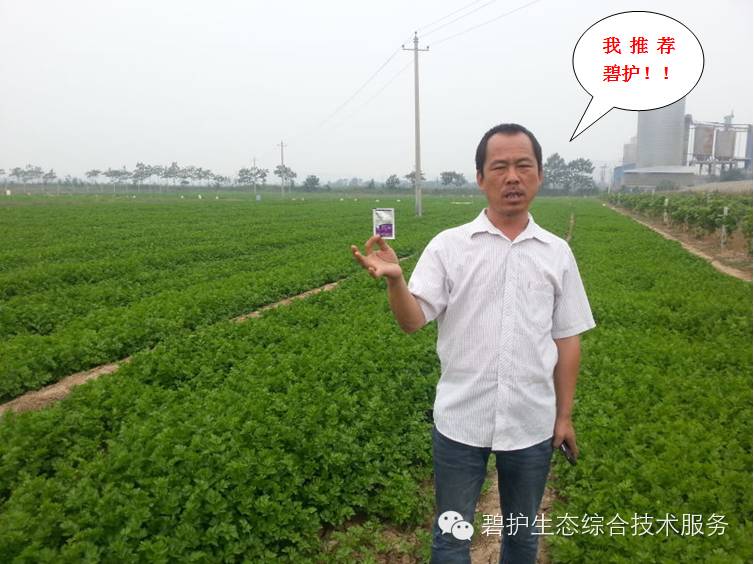 ������ũʱͨ��Ҫ���۲��ֵĺ�__�̻��ۺϼ����ٲ��ˣ�