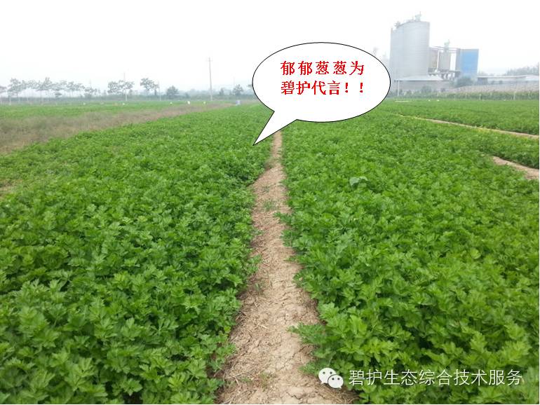 ������ũʱͨ��Ҫ���۲��ֵĺ�__�̻��ۺϼ����ٲ��ˣ�