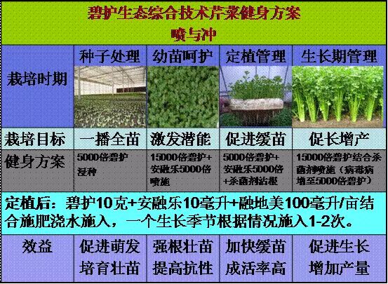 ������ũʱͨ��Ҫ���۲��ֵĺ�__�̻��ۺϼ����ٲ��ˣ�