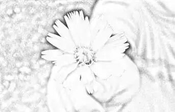 妈妈带着儿子去游玩，一眨眼孩子不见了，当失魂落魄的妈妈疯狂地寻找，结果··· ··· 第3张