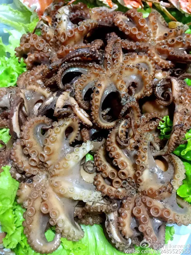 青岛胶东海鲜_青岛海鲜美食图片大全_湛江海鲜(2)