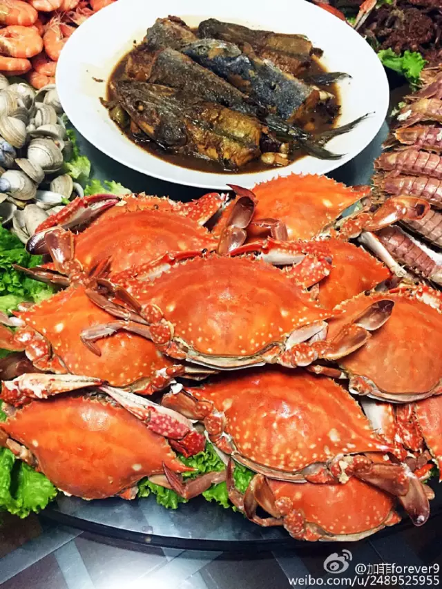 点击图片查看详情 青岛胶东海鲜_青岛海鲜美食图片大全_湛江海鲜(2)