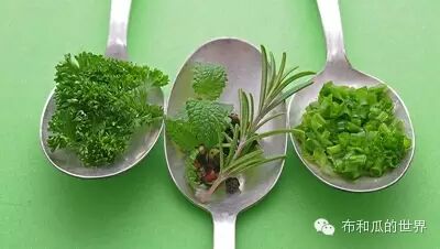 布瓜植物游戏 舌尖上的野菜 布和瓜的世界 新浪博客