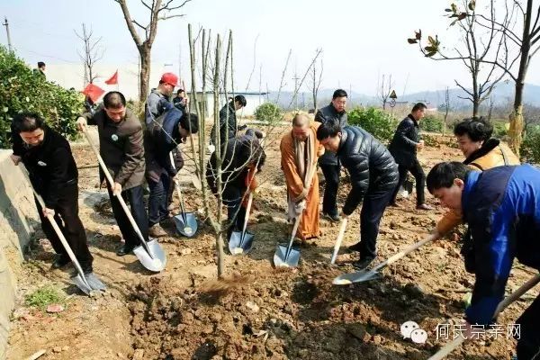 镇江何氏到净因禅寺开展植树活动