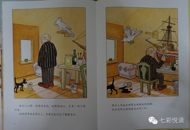 七彩悦读绘本分享《谁拿了红苹果》