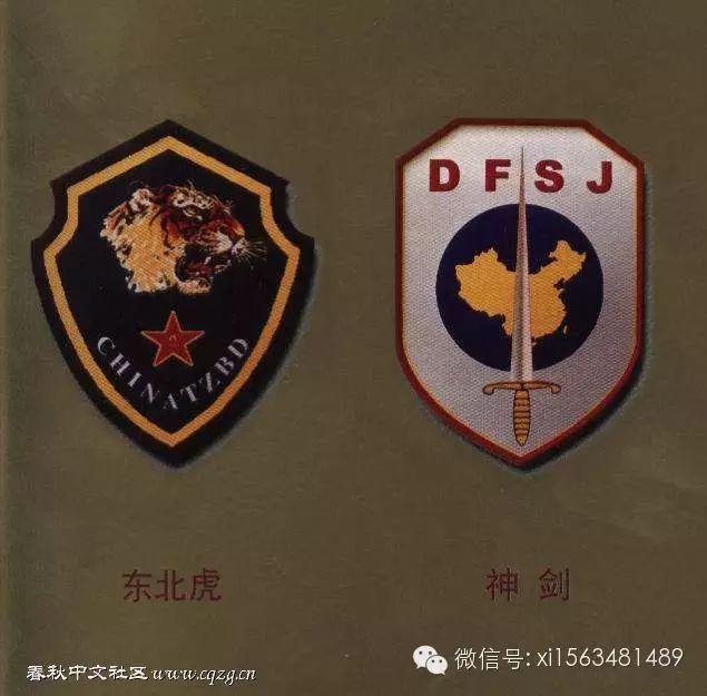 退休上將待遇軍銜怎么算_上將軍銜退休待遇_退休上將享受什么待遇