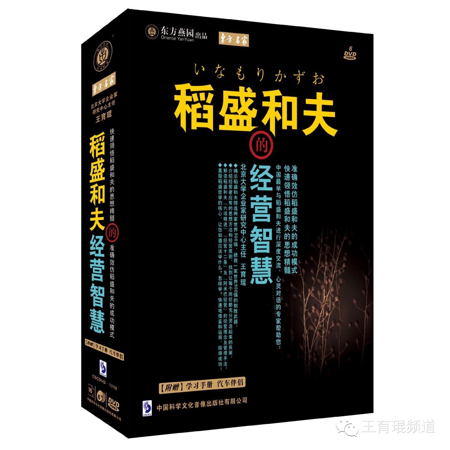 稻盛悟道：柿子树下的惊愕、担当、反省、致知