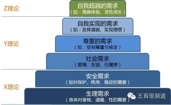 灰度世界的生存法则：升维思考，降维贯通