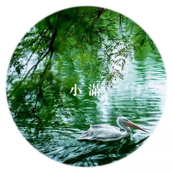 二十四节气丨小满