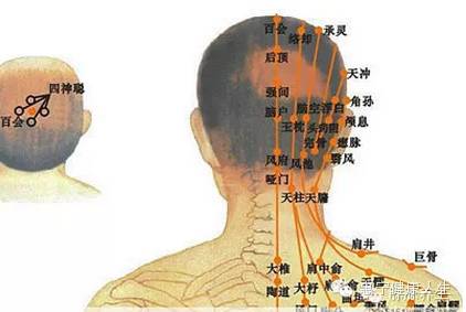 白发人物关系图图片