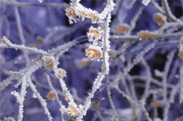 雪国的童话世界 - jianchun605 - 神马骑士 雪国的童话世界 - jianchun605 - 神马骑士