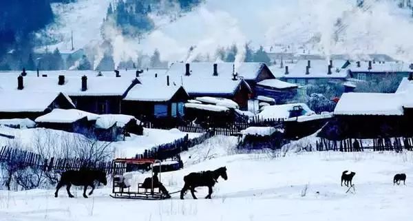 雪国的童话世界 - jianchun605 - 神马骑士 雪国的童话世界 - jianchun605 - 神马骑士