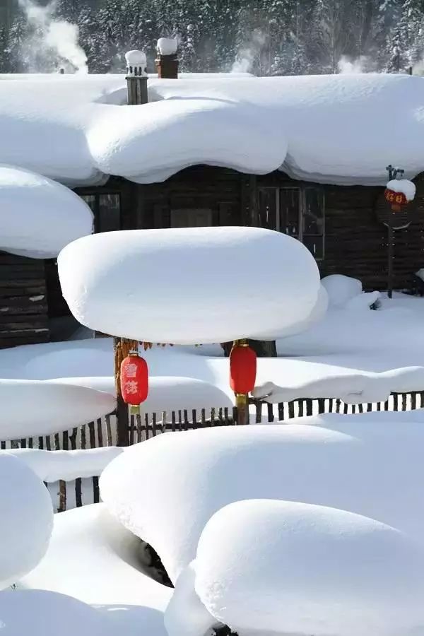 雪国的童话世界 - jianchun605 - 神马骑士 雪国的童话世界 - jianchun605 - 神马骑士