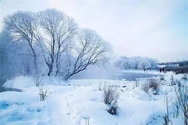 雪国的童话世界 - jianchun605 - 神马骑士 雪国的童话世界 - jianchun605 - 神马骑士