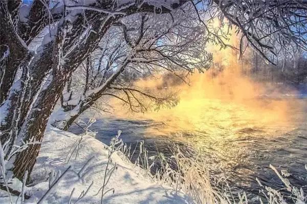 雪国的童话世界 - jianchun605 - 神马骑士 雪国的童话世界 - jianchun605 - 神马骑士