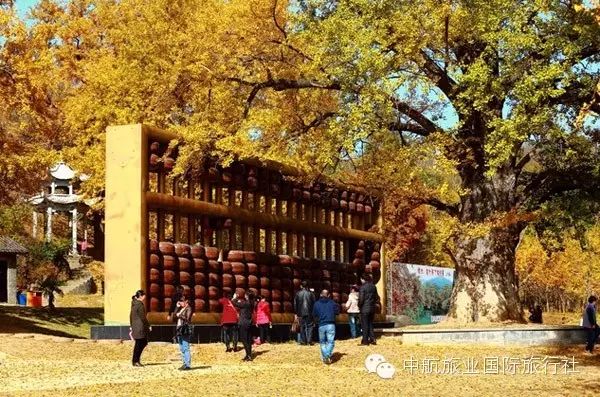 登录查看大图