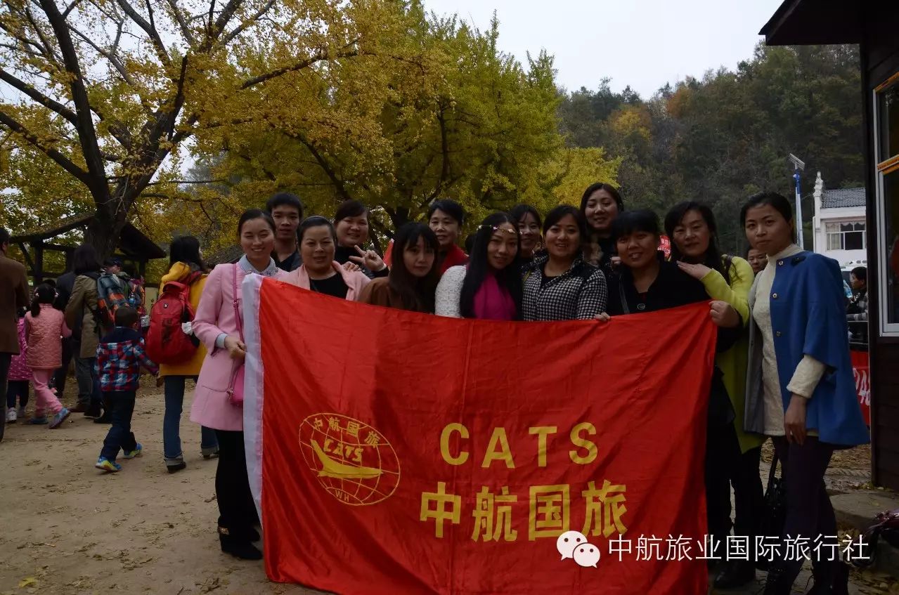 登录查看大图