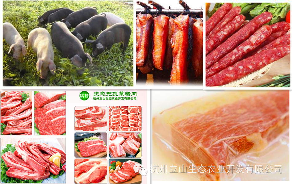 草豬肉加盟