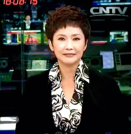 央视著名主持人宁辛倾力主持 2016中国国际露营大会蔚县站开幕式(图1)