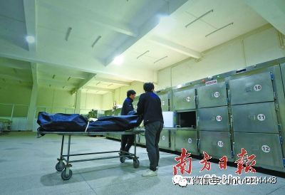 两位工作人员正在安放逝者遗体。