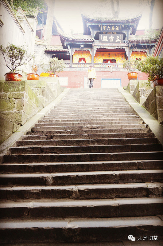 遇湾截角、逢正抽心