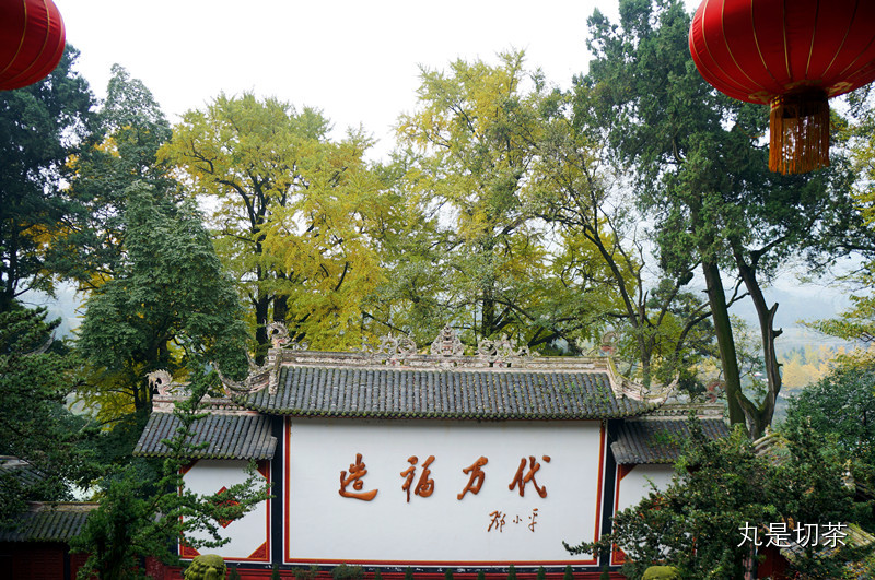 遇湾截角、逢正抽心