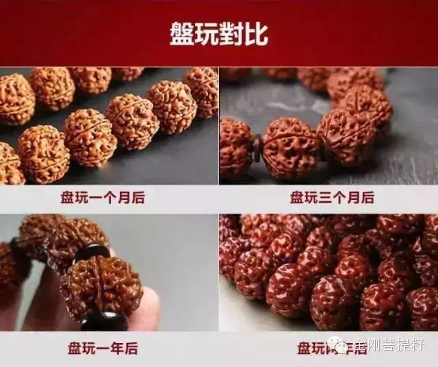 这么全的金刚菩提知识，到底该不该收藏呢！ - 中华文玩网 - 中华文玩网的博客