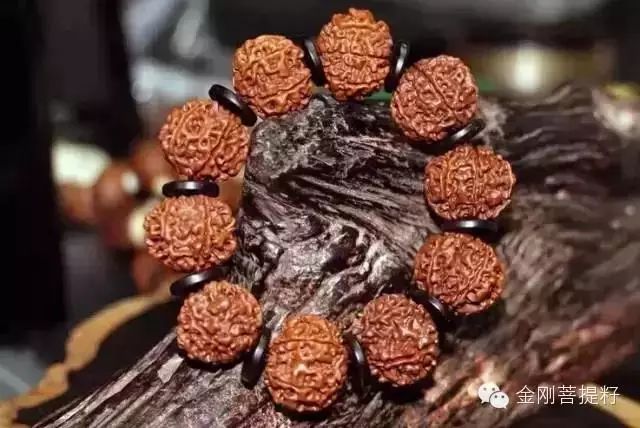 这么全的金刚菩提知识，到底该不该收藏呢！ - 中华文玩网 - 中华文玩网的博客