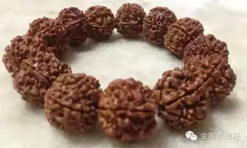 这么全的金刚菩提知识，到底该不该收藏呢！ - 中华文玩网 - 中华文玩网的博客