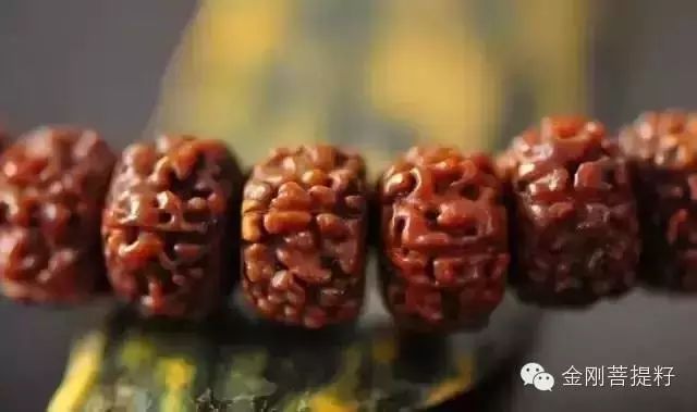 这么全的金刚菩提知识，到底该不该收藏呢！ - 中华文玩网 - 中华文玩网的博客